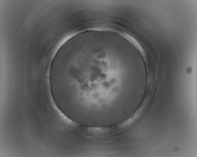 X0000096730855200802051438