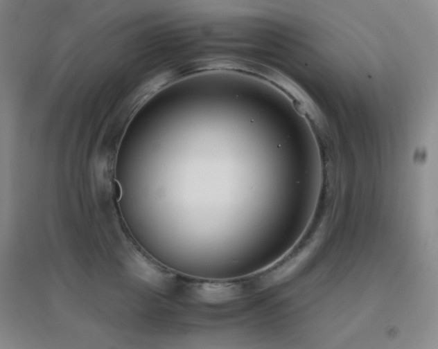 X0000096730857200802051438