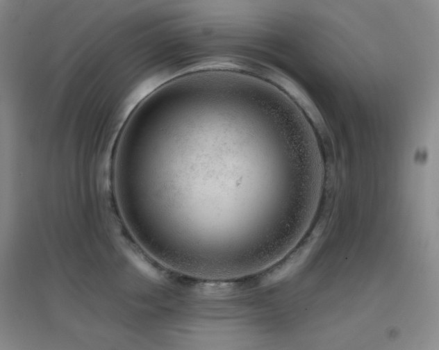 X0000096730858200802051438