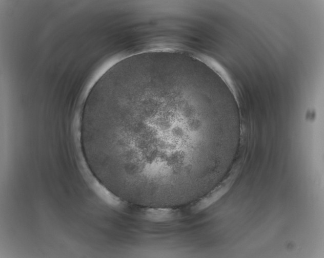 X0000096730859200802051438