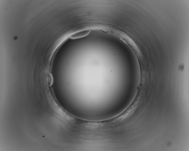 X0000096730860200802051438