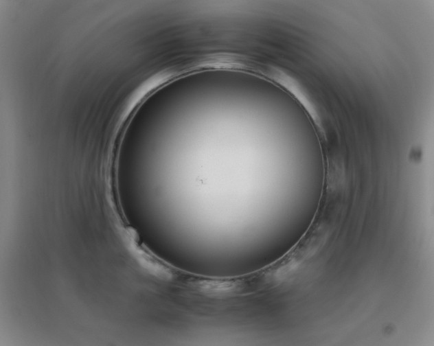 X0000096730861200802051438
