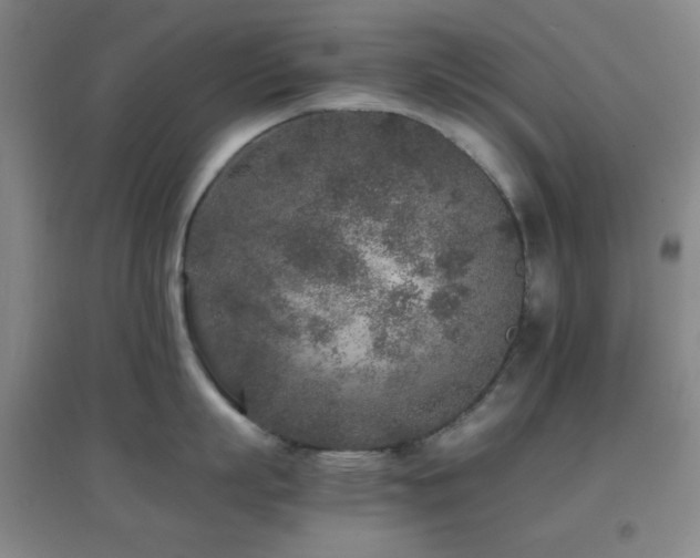X0000096730863200802051438