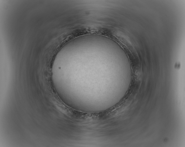 X0000096730865200802051438