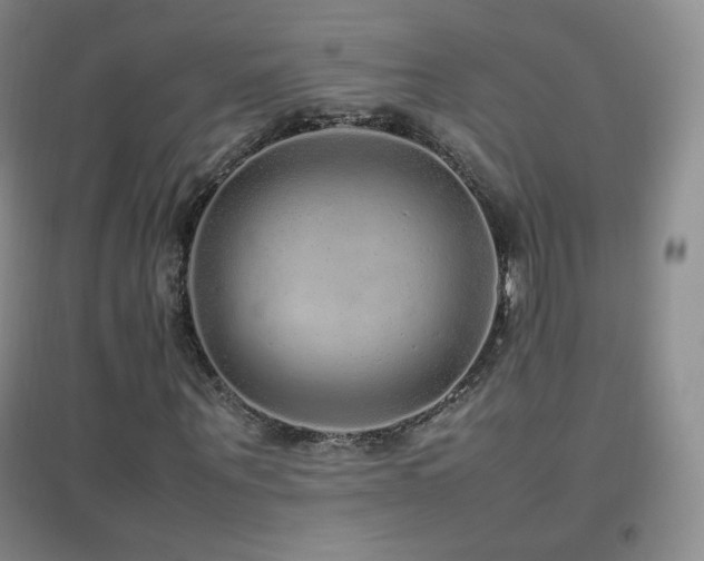 X0000096730867200802051438