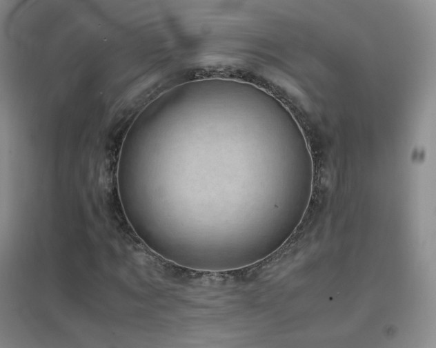 X0000096730869200802051438