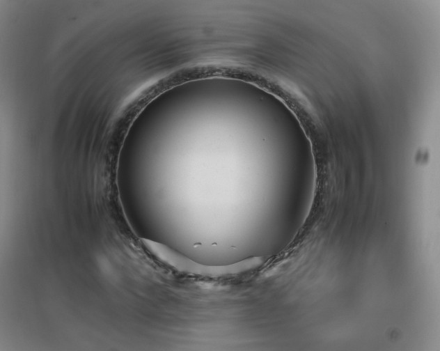 X0000096730872200802051438