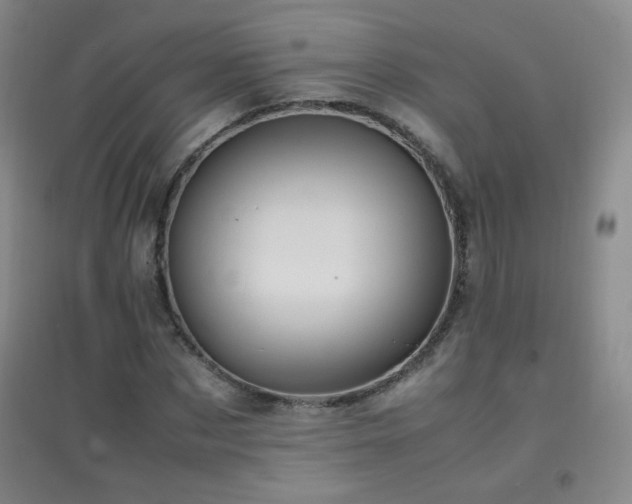 X0000096730873200802051438