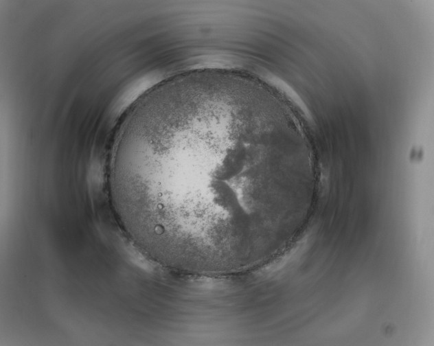 X0000096730874200802051438