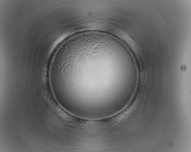 X0000096730875200802051438