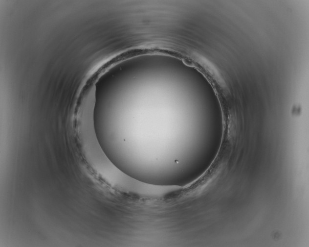 X0000096730876200802051438