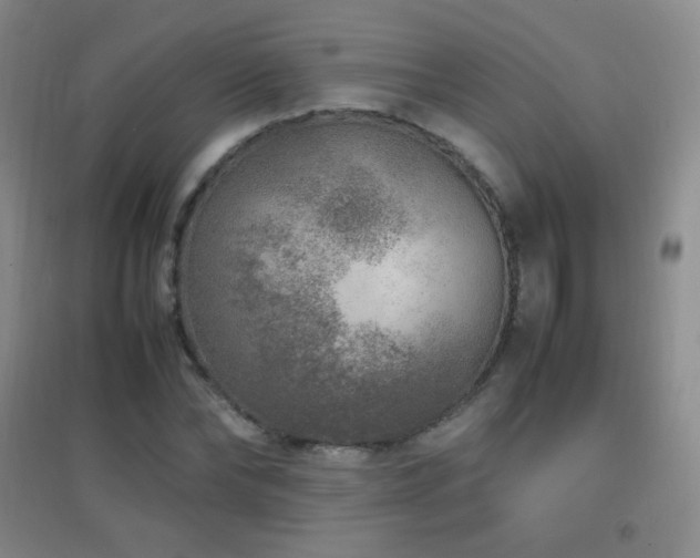X0000096730878200802051437