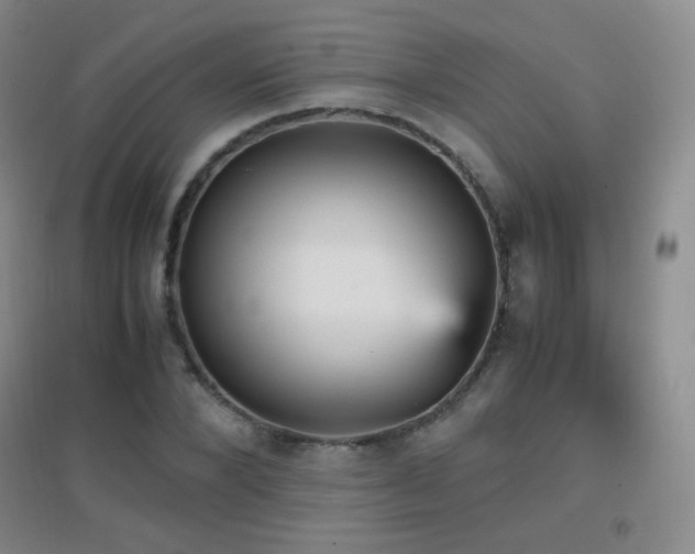 X0000096730880200802051437