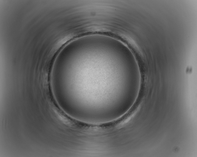 X0000096730881200802051437