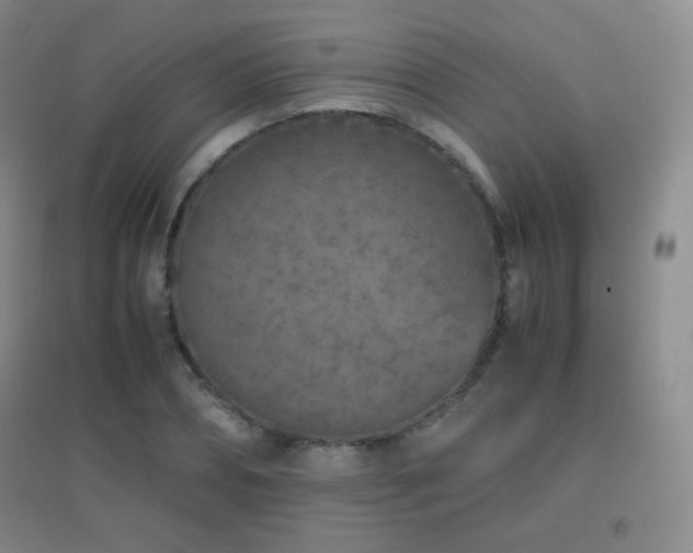 X0000096730882200802051437