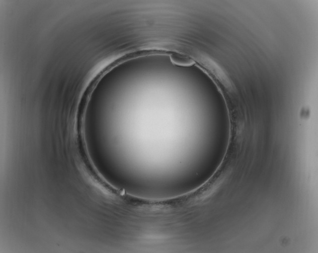 X0000096730884200802051437