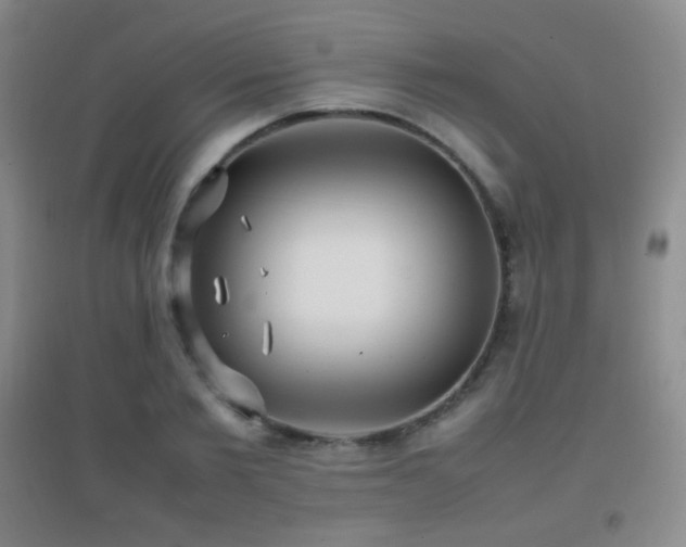 X0000096730885200802051437