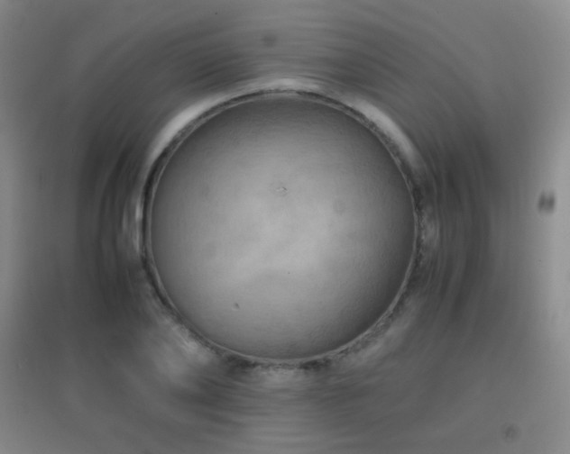 X0000096730886200802051437