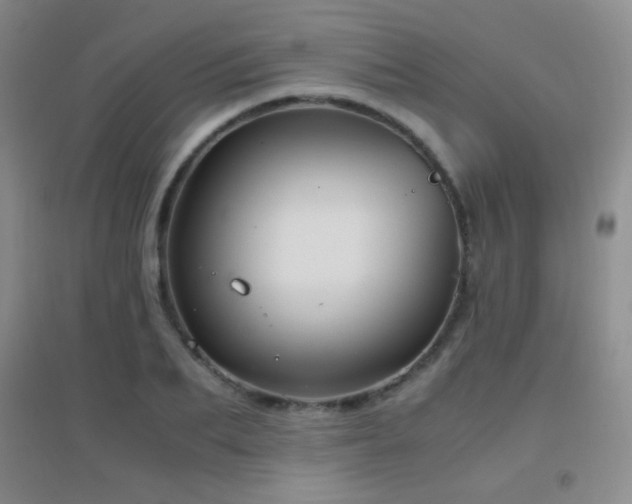 X0000096730887200802051437
