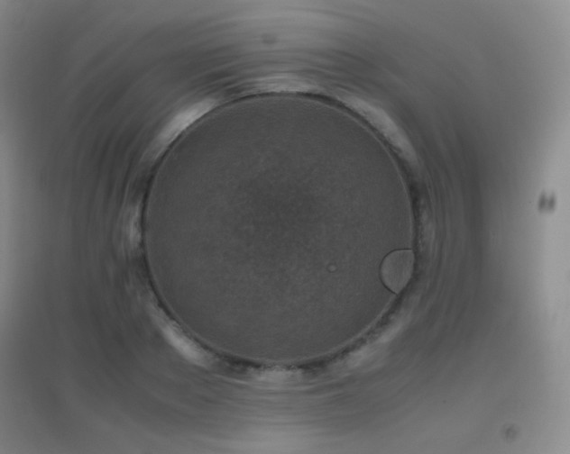 X0000096730889200802051437