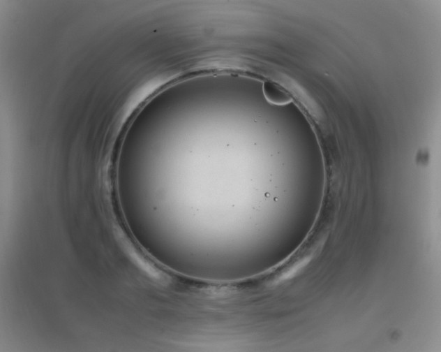 X0000096730893200802051437
