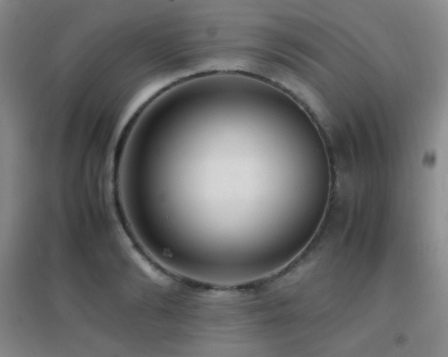 X0000096730894200802051437