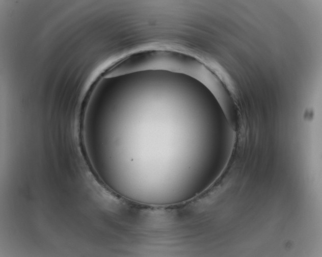 X0000096730896200802051437