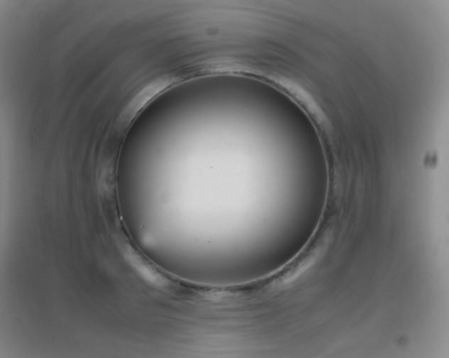 X0000096730897200802051437