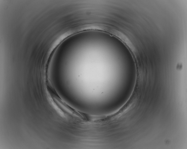 X0000096730898200802051437