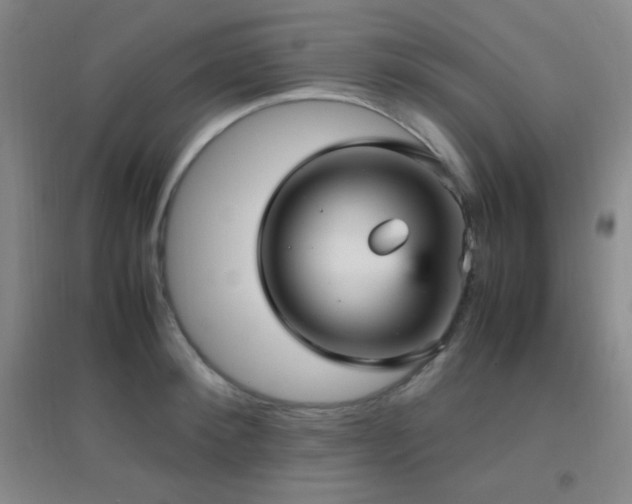 X0000096730900200802051437