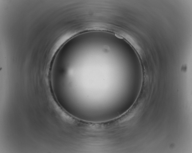 X0000096730901200802051437