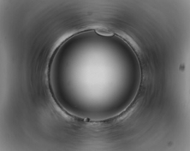 X0000096730902200802051437