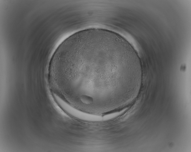 X0000096730903200802051437