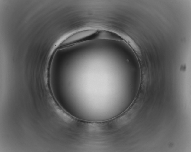 X0000096730904200802051437