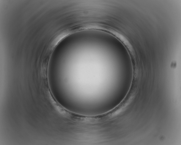 X0000096730905200802051437