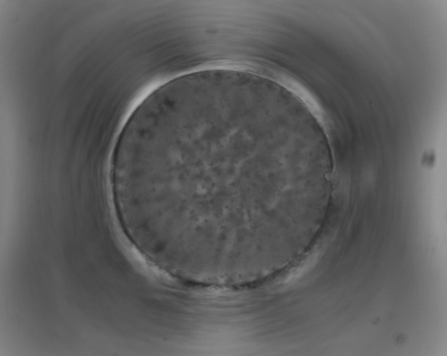 X0000096730907200802051437