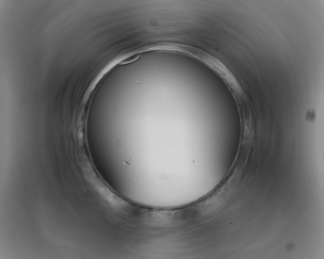 X0000096730908200802051437
