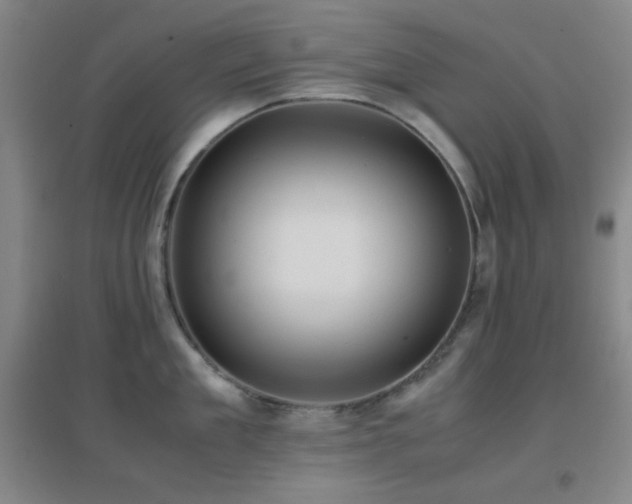 X0000096730909200802051437