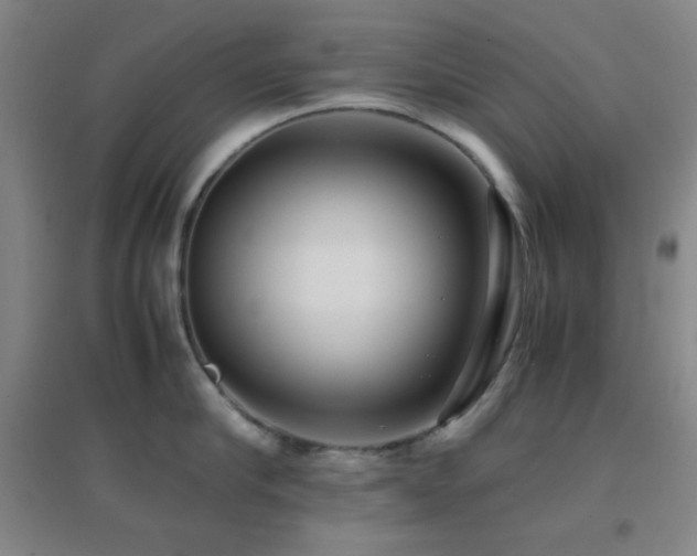 X0000096730910200802051437