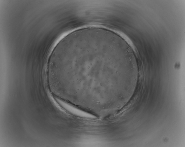 X0000096730911200802051437