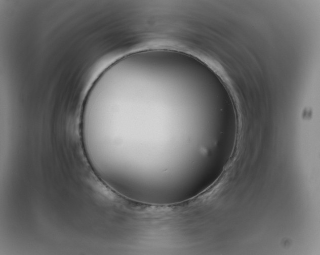 X0000096730912200802051437