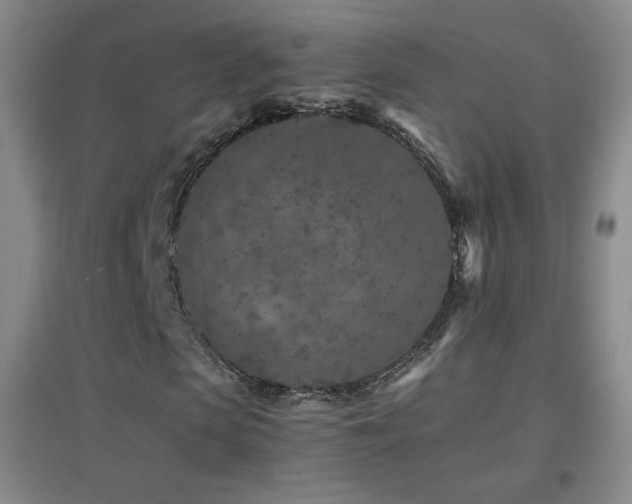 X0000096730913200802051436