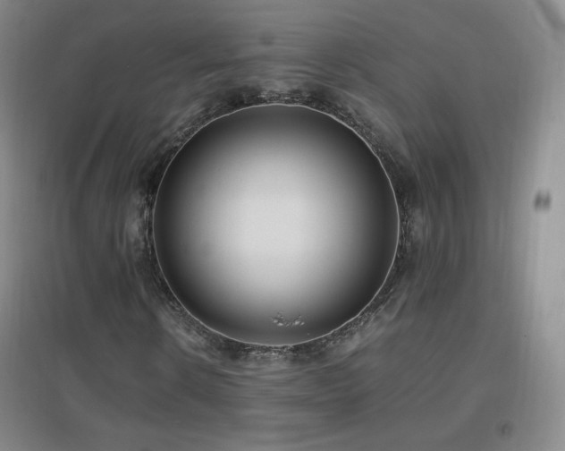 X0000096730914200802051436