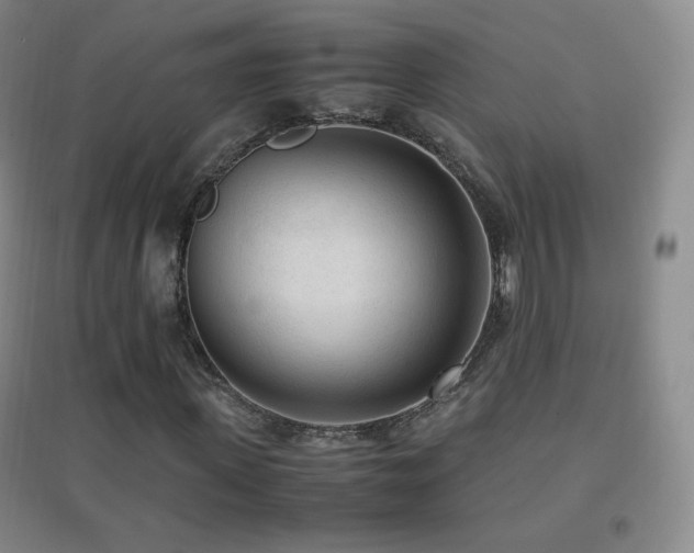 X0000096730915200802051436
