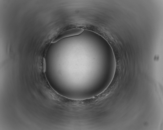 X0000096730916200802051436