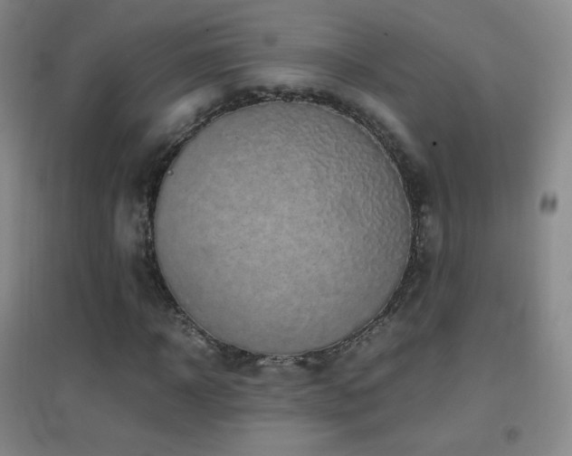 X0000096730918200802051436
