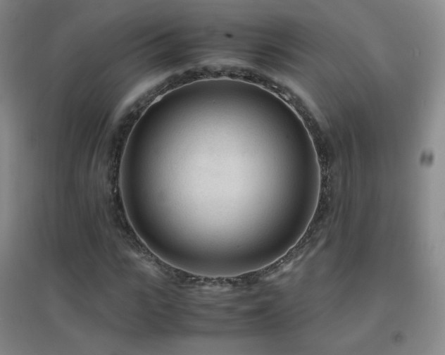 X0000096730919200802051436