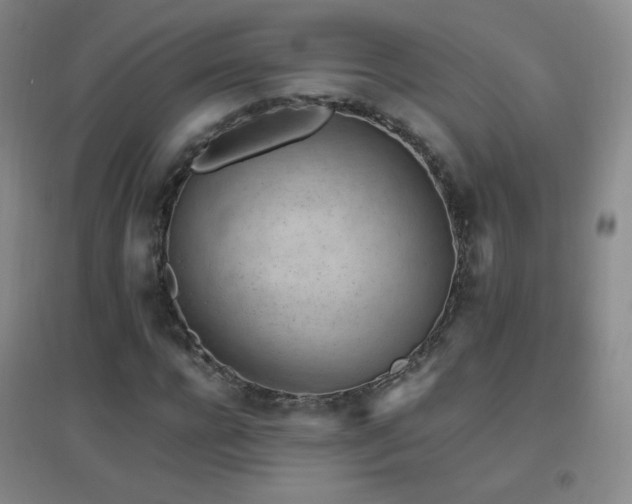 X0000096730920200802051436