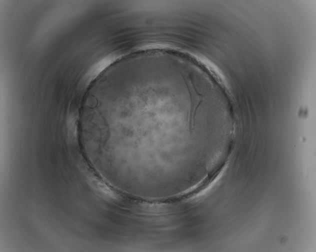 X0000096730921200802051436