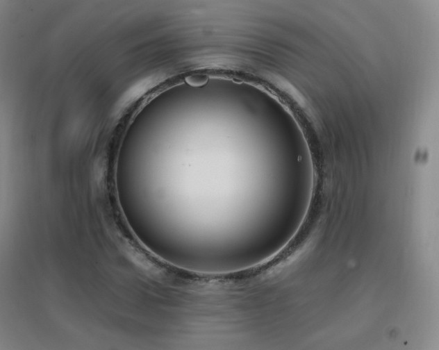 X0000096730922200802051436